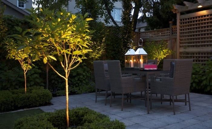Backyard Into